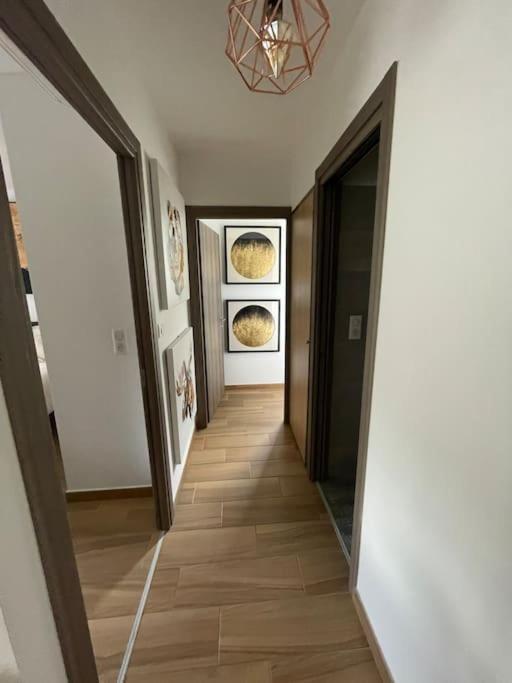 Appartement Calme Proche Bastia Cardo Eksteriør billede