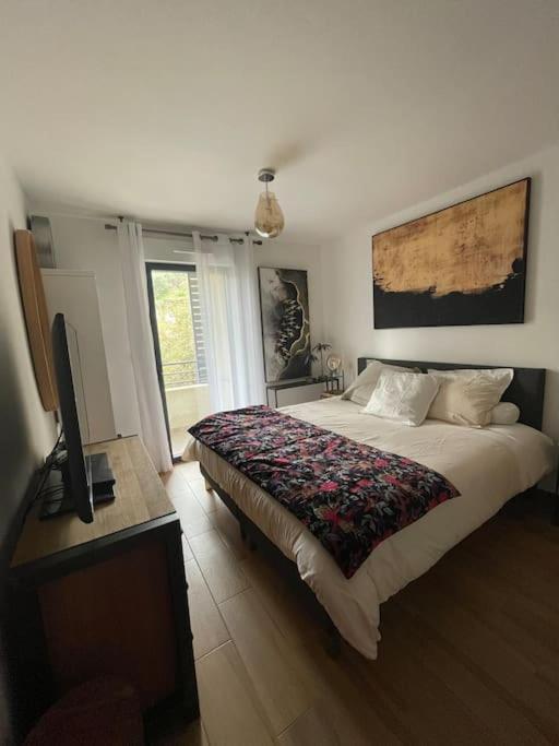 Appartement Calme Proche Bastia Cardo Eksteriør billede