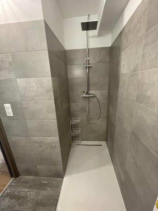 Appartement Calme Proche Bastia Cardo Eksteriør billede